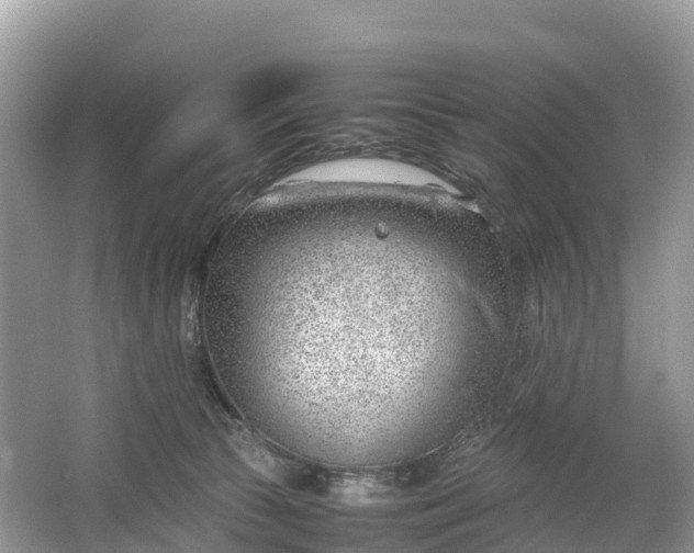 X0000064750177200602241850