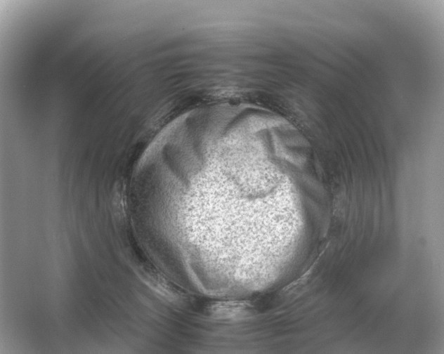 X0000064750179200602241850