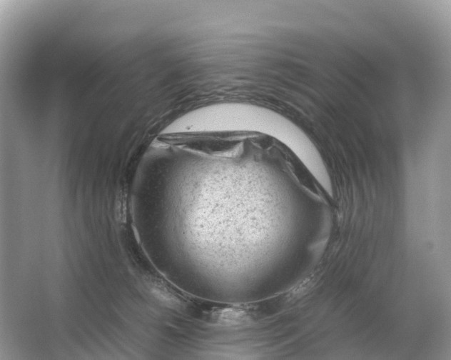 X0000064750180200602241850