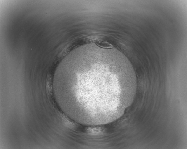 X0000064750181200602241850