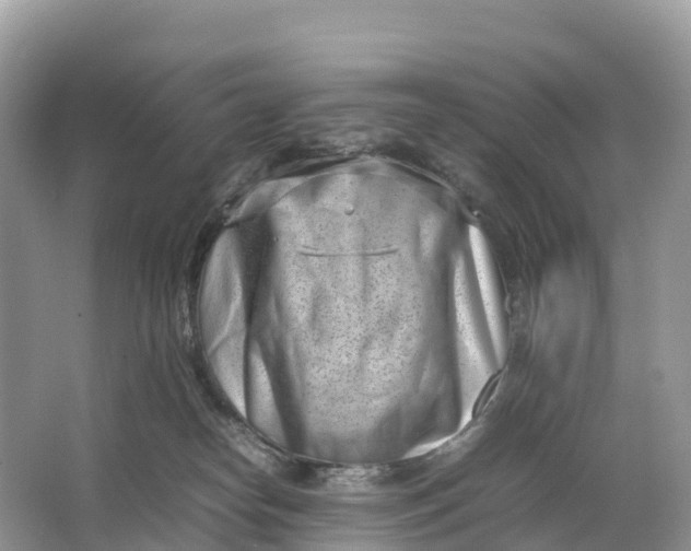 X0000064750182200602241850