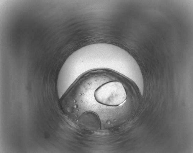 X0000064750185200602241850