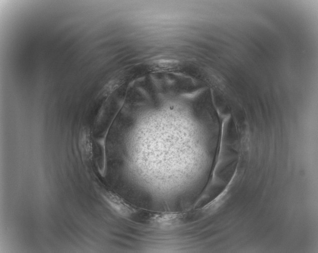 X0000064750186200602241850