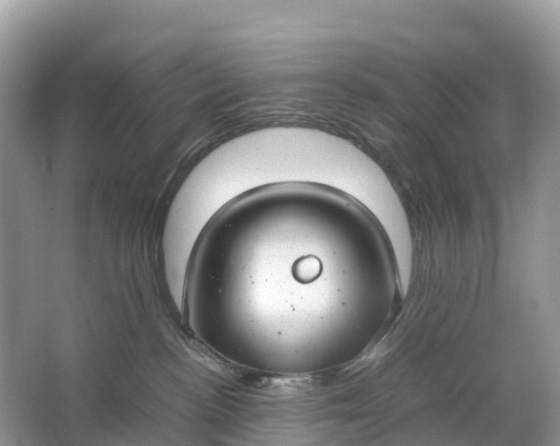 X0000064750188200602241850