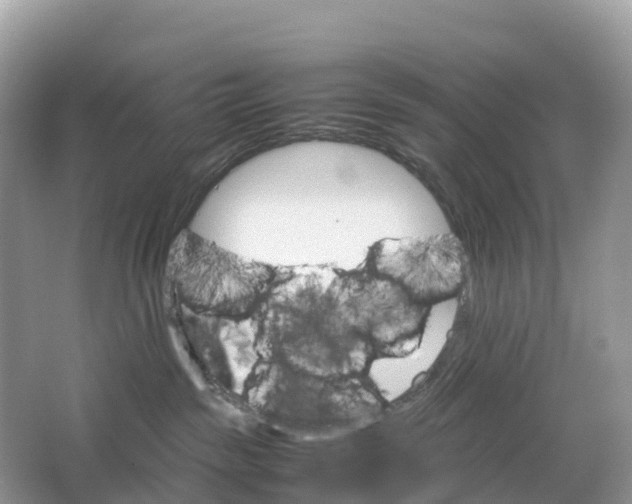 X0000064750189200602241850