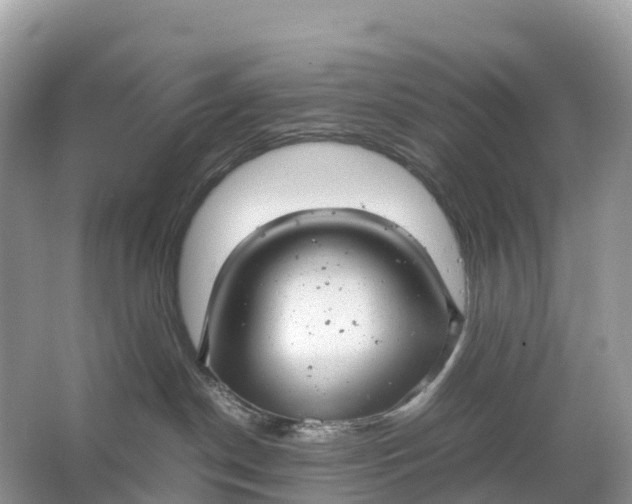 X0000064750190200602241850