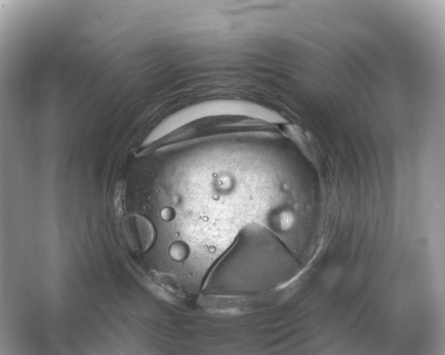 X0000064750191200602241850