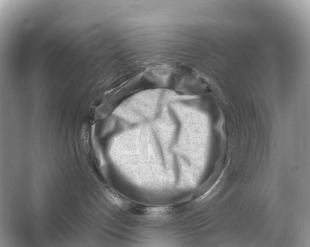 X0000064750192200602241850