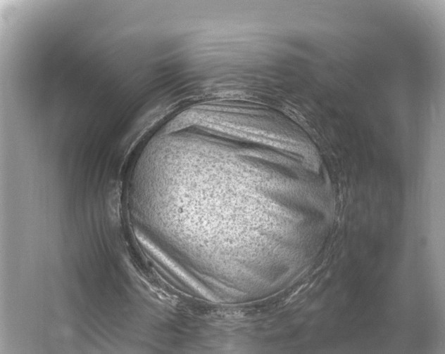 X0000064750194200602241849