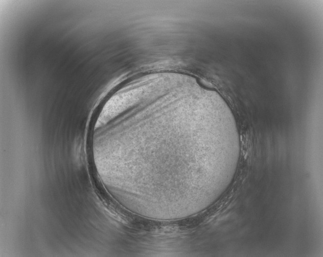 X0000064750196200602241849