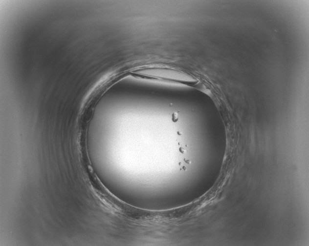 X0000064750197200602241849