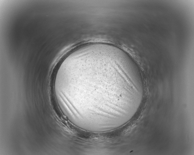 X0000064750199200602241849