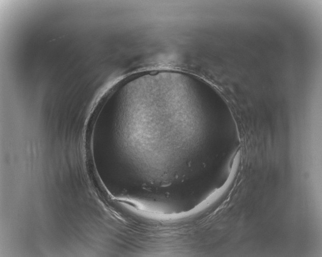 X0000064750200200602241849