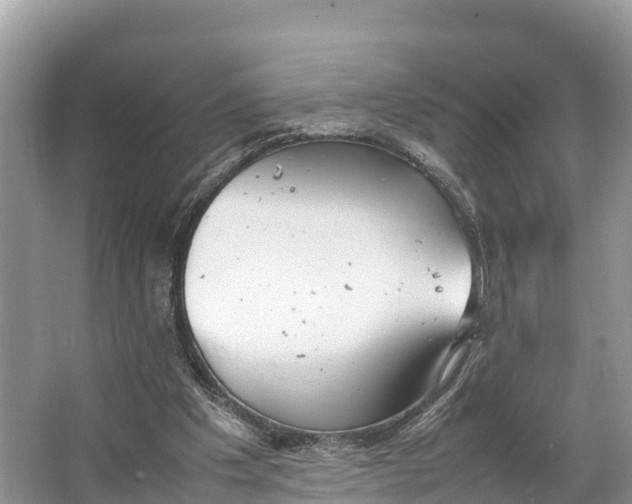 X0000064750201200602241849