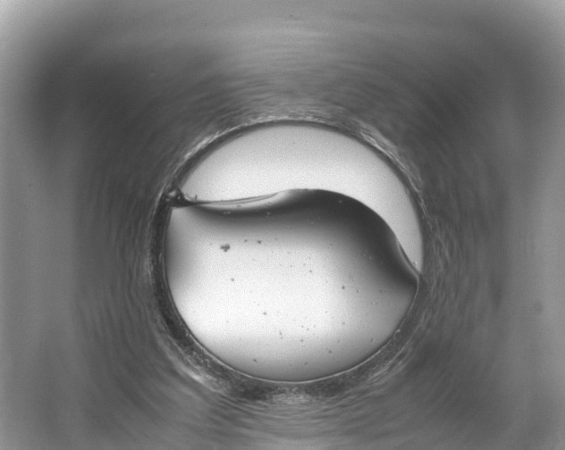 X0000064750203200602241849