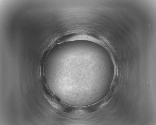 X0000064750205200602241849