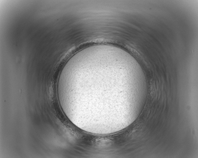 X0000064750208200602241849