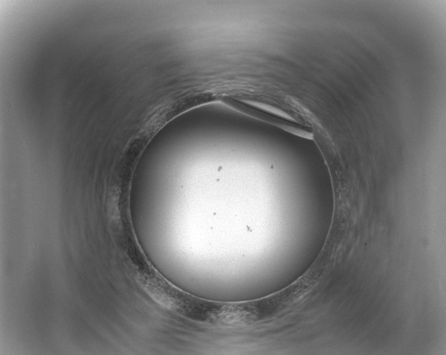 X0000064750209200602241849