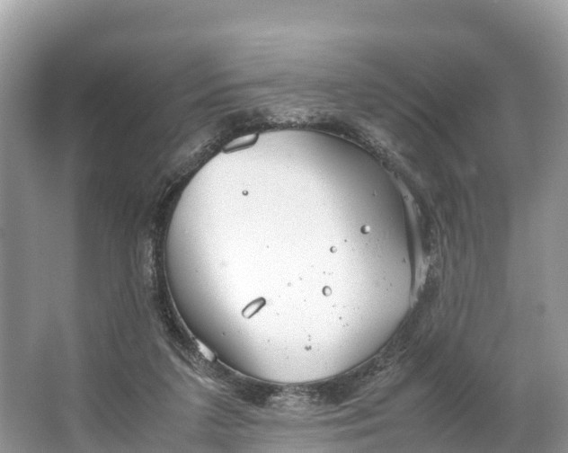 X0000064750211200602241849