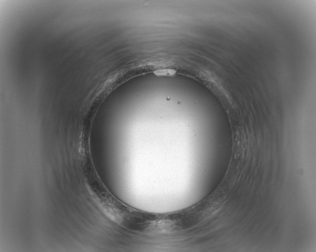 X0000064750212200602241849