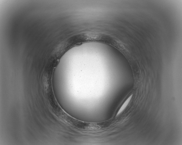 X0000064750215200602241849