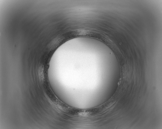 X0000064750216200602241848