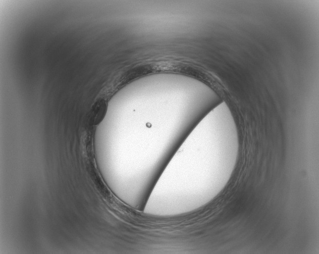 X0000064750217200602241848