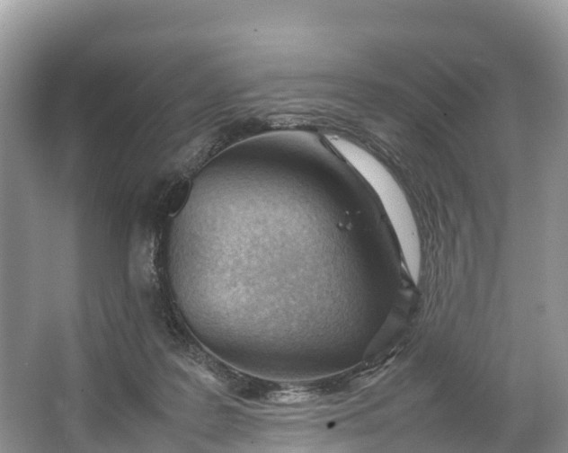 X0000064750219200602241848