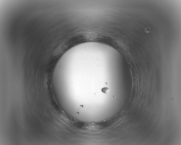 X0000064750221200602241848