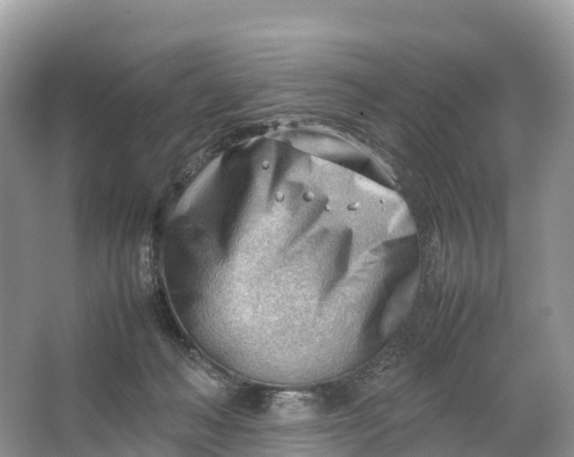 X0000064750222200602241848