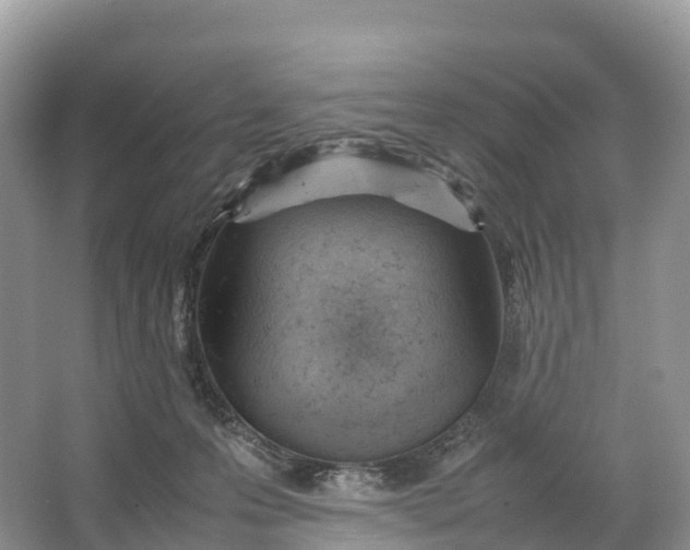 X0000064750223200602241848