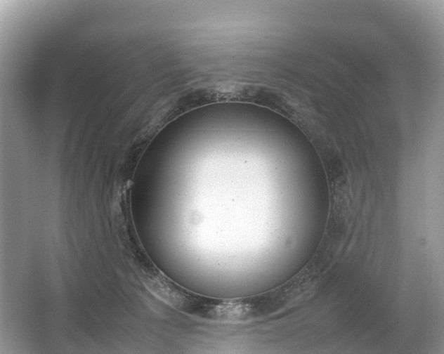 X0000064750225200602241848