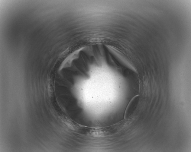 X0000064750228200602241848