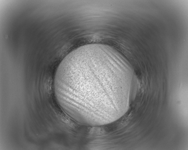 X0000064750230200602241848