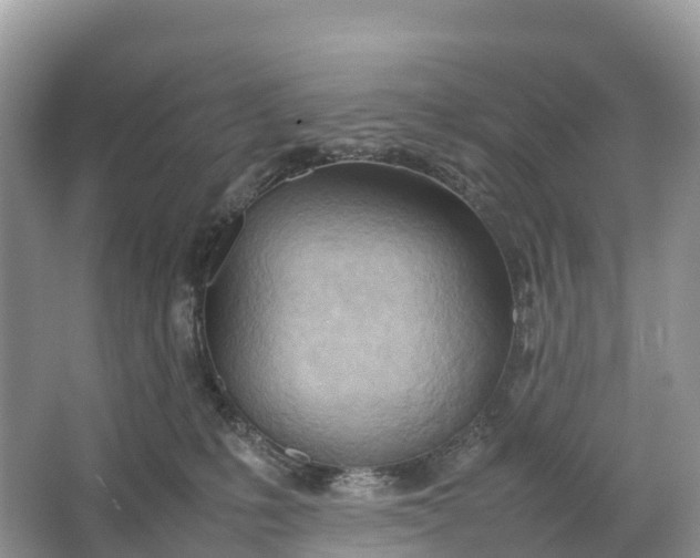 X0000064750231200602241848