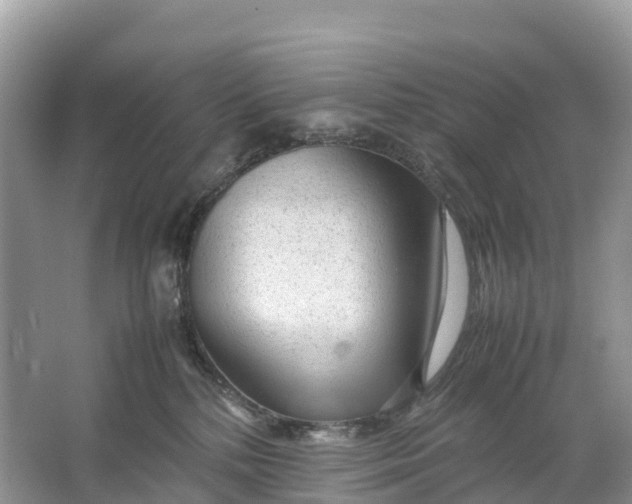 X0000064750232200602241848