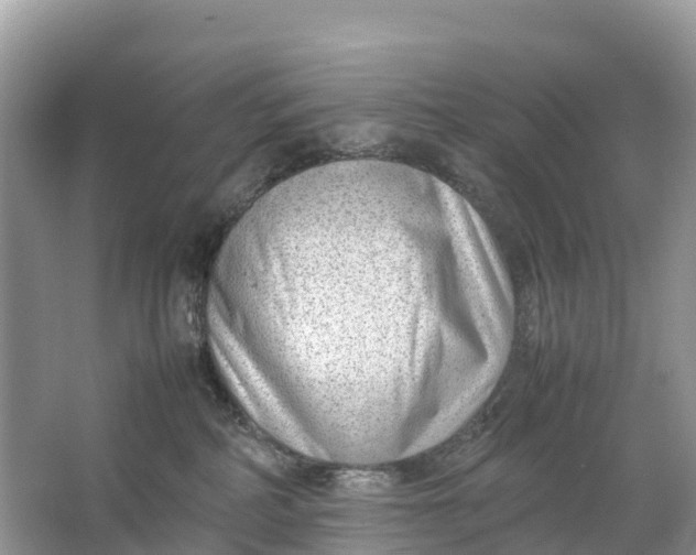 X0000064750234200602241848