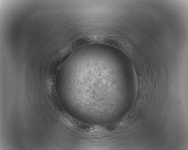 X0000064750235200602241848