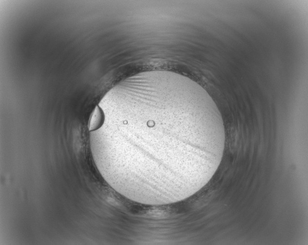 X0000064750236200602241848