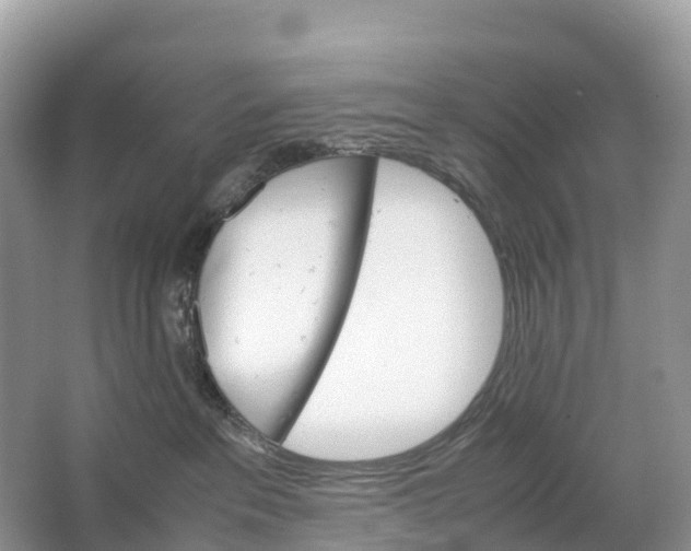 X0000064750237200602241848