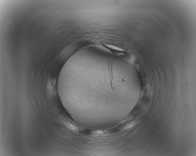 X0000064750239200602241848