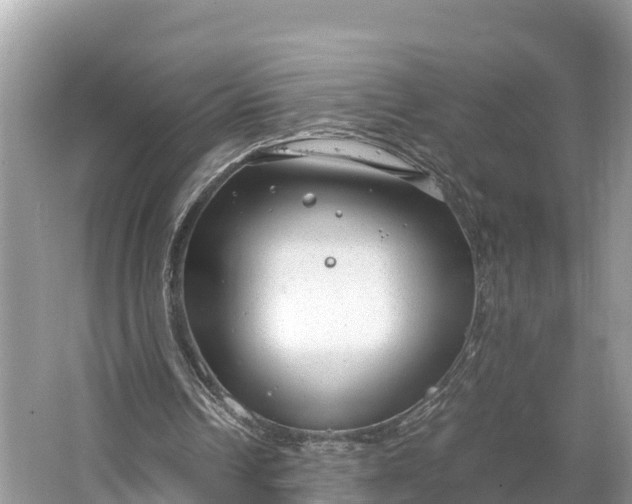 X0000064750242200602241847