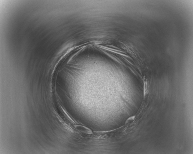 X0000064750243200602241847