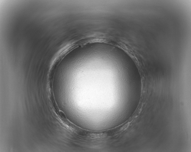 X0000064750245200602241847