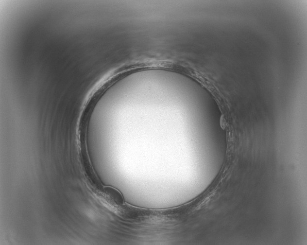 X0000064750246200602241847