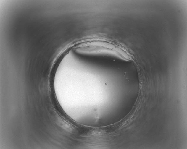 X0000064750248200602241847