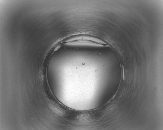 X0000064750252200602241847