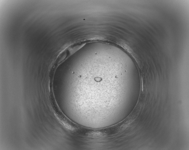 X0000064750253200602241847