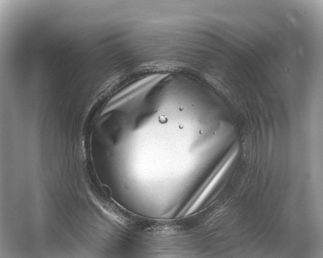 X0000064750254200602241847