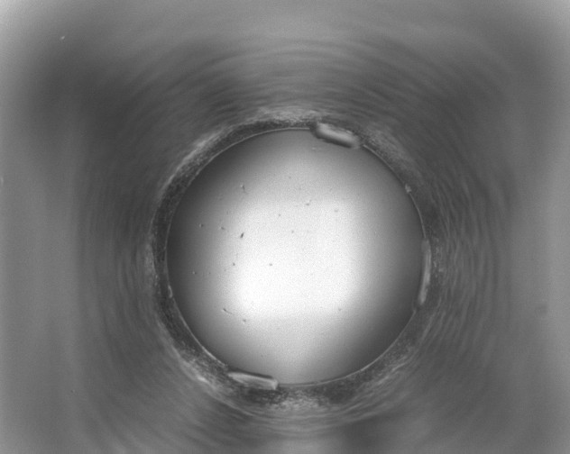 X0000064750256200602241847